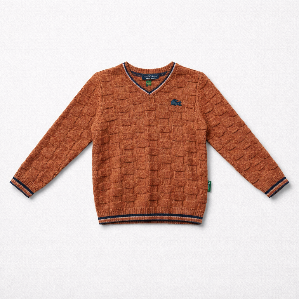 Stiped kids Sweater lacoste